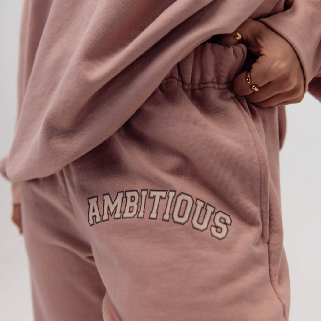 AMBITIOUS BLUSH SWEATPANTS